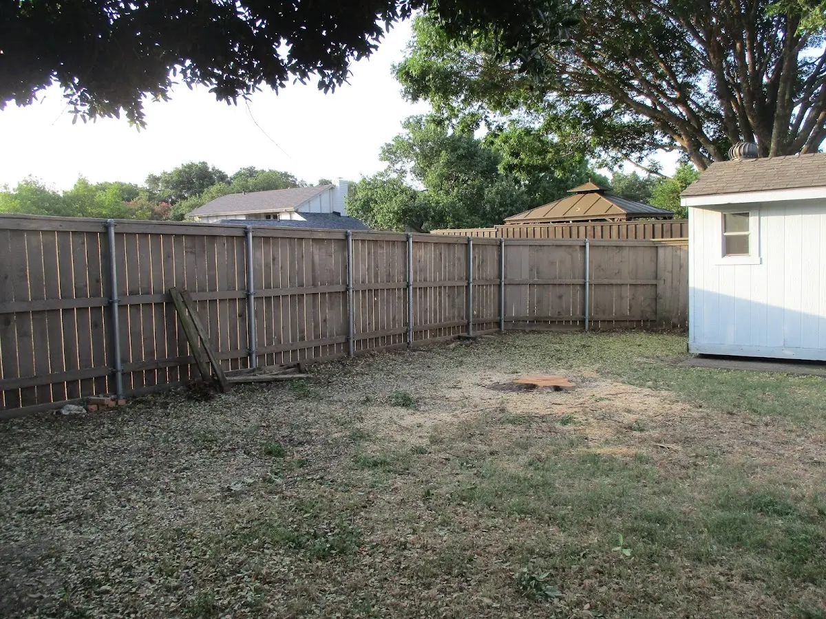 Cleared yard after professional tree removal in Somerset Center